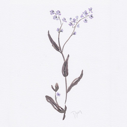 Picture of LAVENDER WILDFLOWERS I