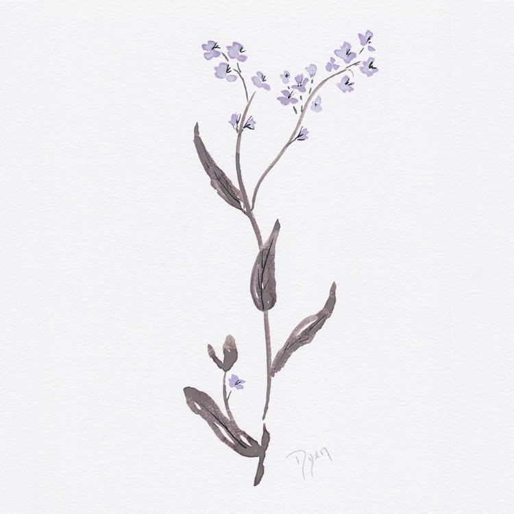 Picture of LAVENDER WILDFLOWERS I