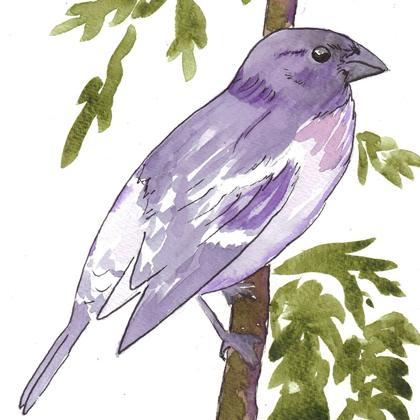 Picture of VIBRANT BIRD 1