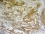 Picture of DESERT SANDS