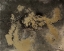 Picture of FISSURES 1