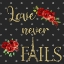 Picture of LOVE NEVER FAILS