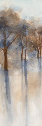 Picture of MISTY FOREST 1