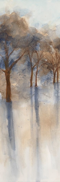 Picture of MISTY FOREST 1