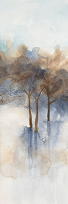 Picture of MISTY FOREST 3