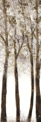 Picture of WOODED GROVE 1
