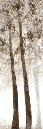 Picture of WOODED GROVE 2