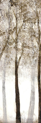 Picture of WOODED GROVE 3