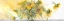 Picture of SUN KISSED SUNFLOWERS