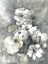Picture of MUNDANE FLORALS 1