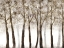 Picture of WOODED GROVE