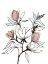 Picture of RISING SPROUT 1