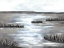 Picture of MARSH SCENE