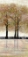 Picture of SERENE FOREST  3
