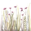 Picture of GARDEN BLOOMS 1