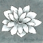 Picture of WHITE LOTUS