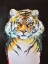 Picture of TIGER