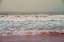 Picture of ENDLESS SUMMER 1