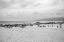 Picture of GRAY DAY 1