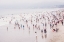 Picture of LOW TIDE 1