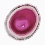 Picture of GEODE 5