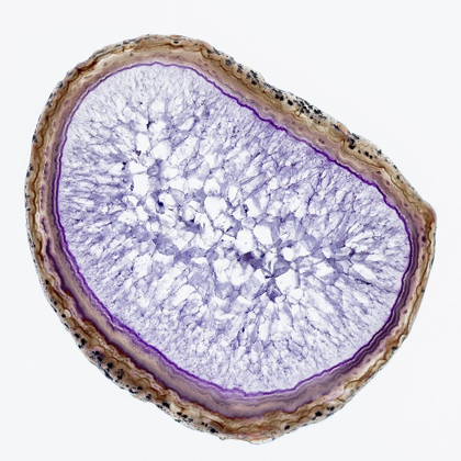 Picture of GEODE 8