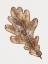 Picture of WATERCOLOR LEAF 2