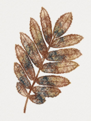 Picture of WATERCOLOR LEAF 3