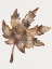 Picture of WATERCOLOR LEAF 4