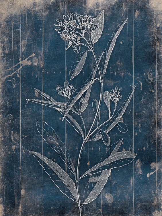 Picture of WOOD FLORAL BLUES