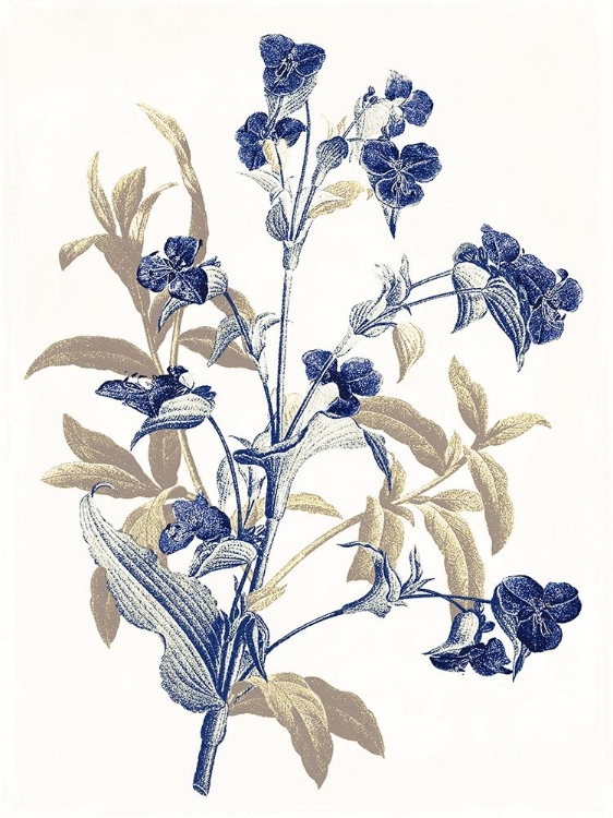 Picture of INDIGO FLOWERS