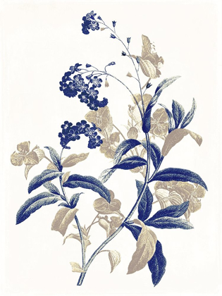 Picture of INDIGO FLOWERS TWO