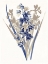 Picture of INDIGO FLOWERS THREE