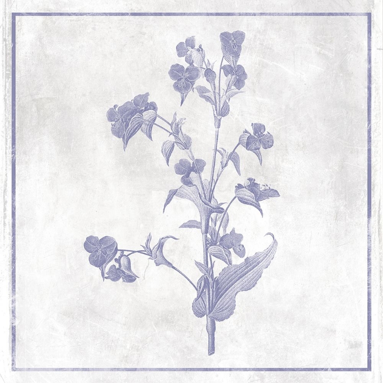 Picture of MONOCHROME FLORAL LAVENDER 1