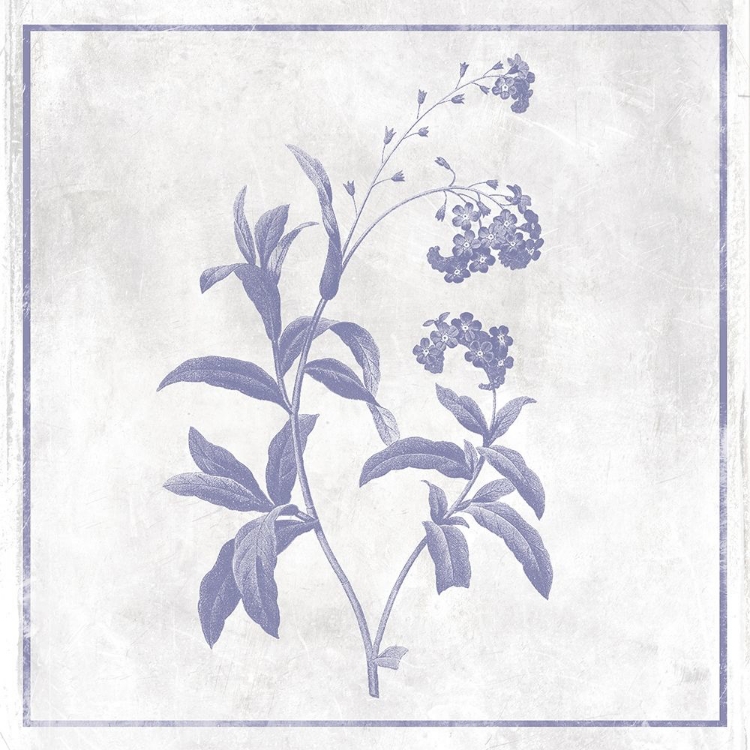 Picture of MONOCHROME FLORAL LAVENDER 2