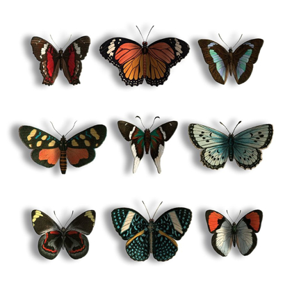 Picture of FLOATING BUTTERFLIES
