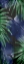 Picture of IN THE JUNGLE 3