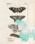 Picture of FIELD GUIDE 2