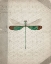Picture of DRAGONFLY BOOK 2