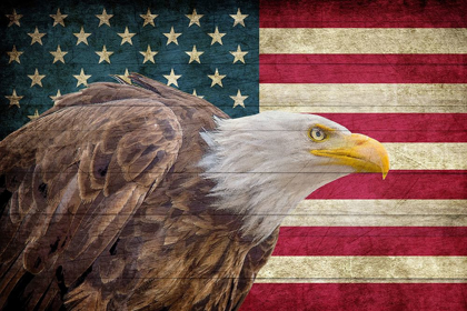 Picture of USA EAGLE