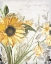 Picture of WILDFLOWER GUIDE 1