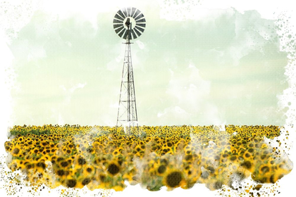 Picture of WINDMILL SUNFLOWERS