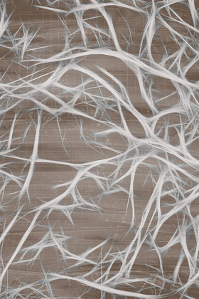 Picture of BRANCHING 1