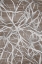 Picture of BRANCHING 2