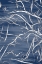 Picture of BRANCHING BLUE 1