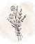 Picture of FLORAL SKETCH 1