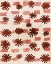 Picture of TEXTURE 1