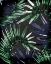 Picture of JUNGLE 2