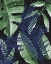 Picture of TROPIC PALMS 1