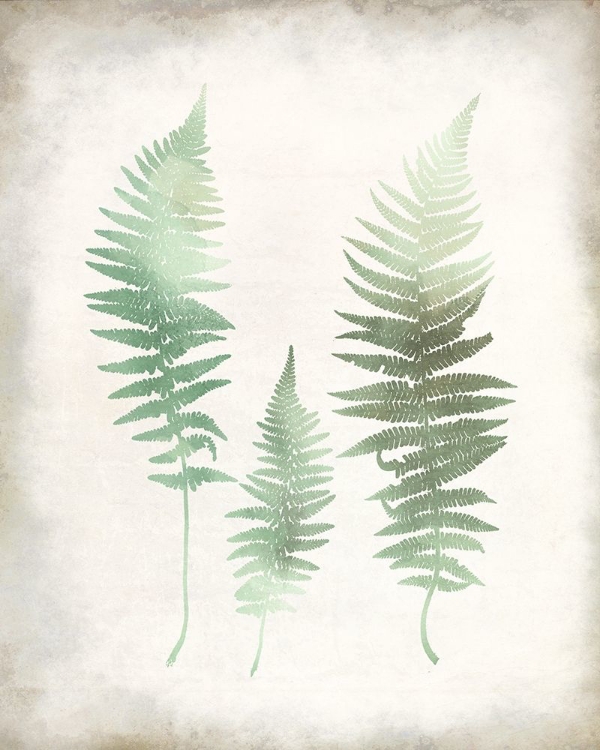 Picture of WATERCOLOR FERN 1 VINTAGE